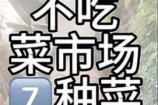 开云全站app登录官网首页下载截图3